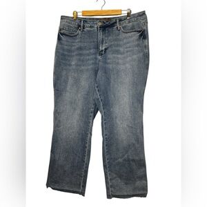 Judy Blue Women’s Classic Blue Tummy Control Straight-Leg Jeans Size 20W